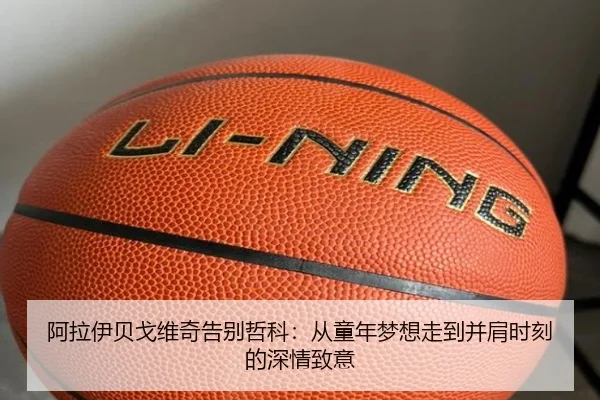 阿拉伊贝戈维奇告别哲科：从童年梦想走到并肩时刻的深情致意